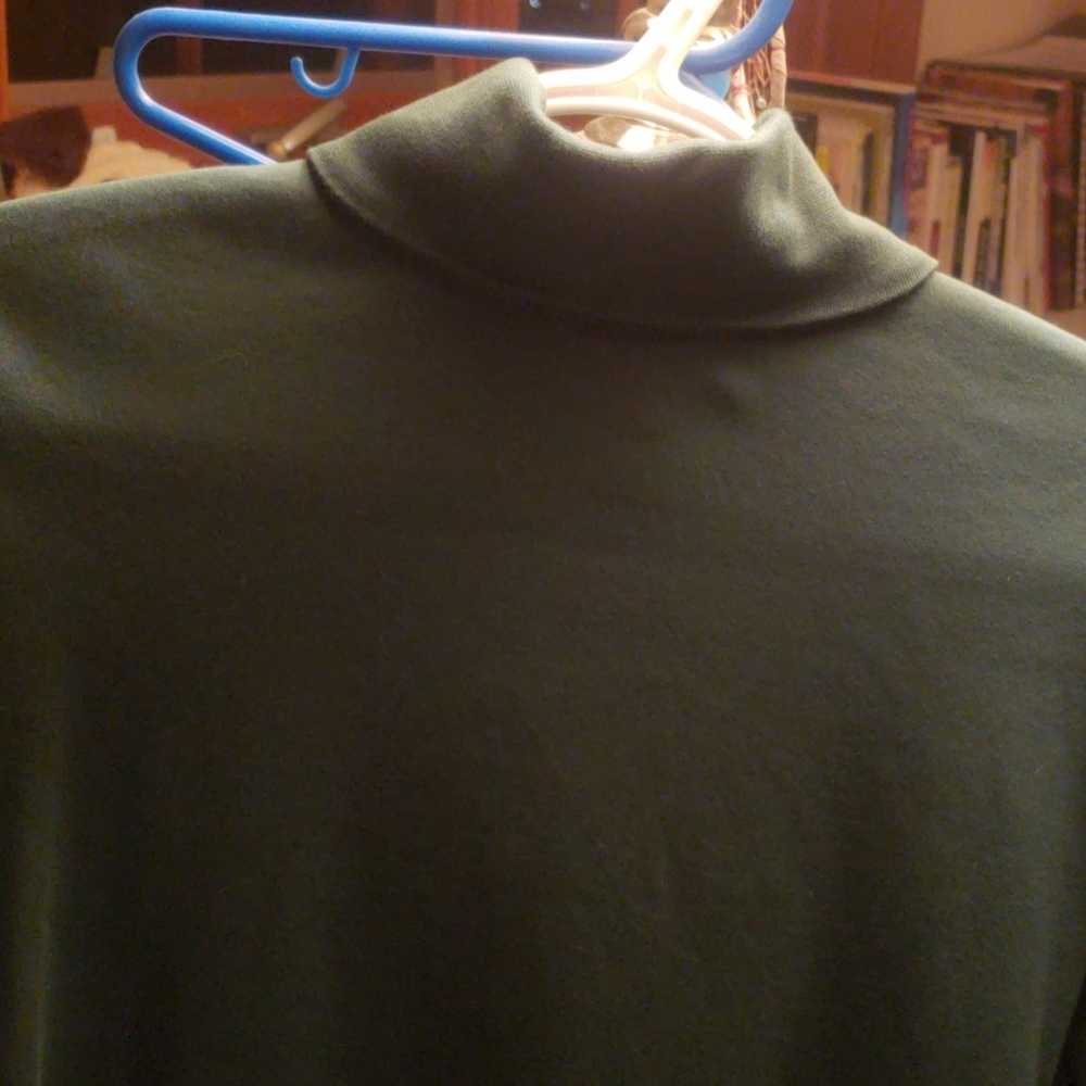 LL Bean Green Turtle Neck